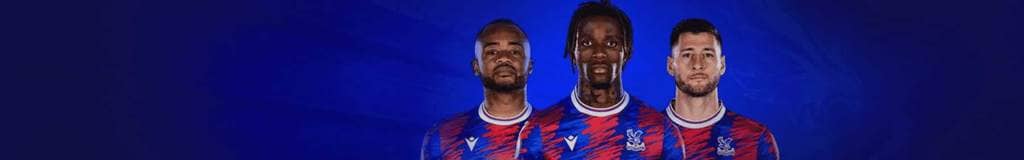 sudoku hidden singles method
